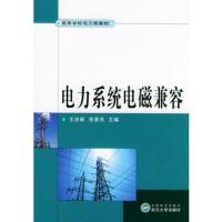 電力系統電磁兼容/高等學校電力類教材