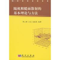 隨機粗糙面散射的基本理論與方法