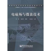 電磁場與微波技術——新編電氣與電子信息類本科規劃教材