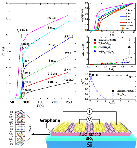 石墨烯/超薄Bi2212異質結及其超導轉變特性