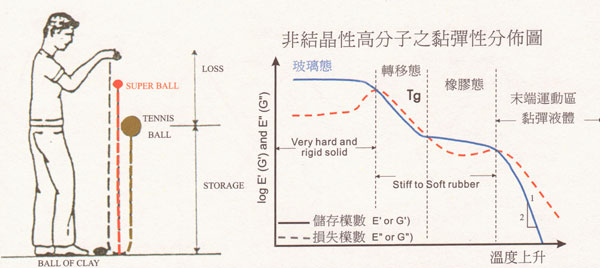 左圖為儲存模量的簡要說明