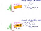 強激光高能量密度物理研究新進展---新型圓偏振強太赫茲光源