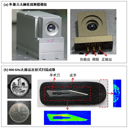 中科院蘇州納米所研制成室溫、高速、高靈敏度太赫茲探測(cè)器