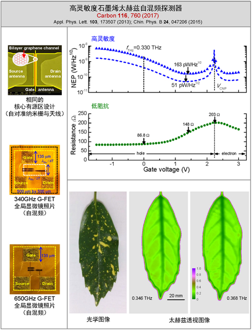 蘇州納米所等在高靈敏度石墨烯太赫茲探測(cè)器研究中取得進(jìn)展