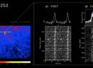 FAST首次發(fā)現(xiàn)并認(rèn)證毫秒脈沖星