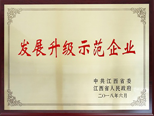 發展升級示范企業201806